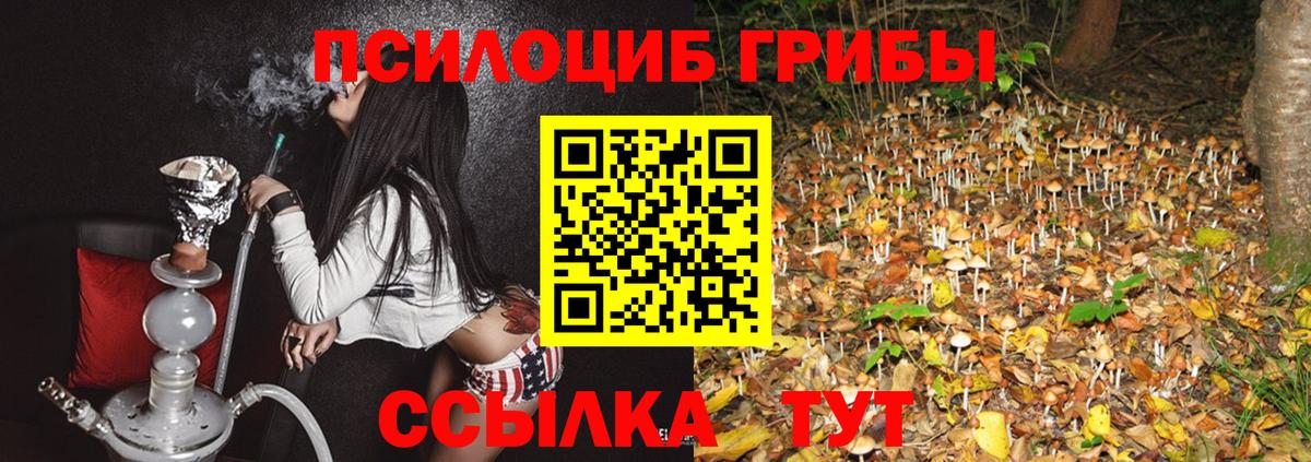 Галлюциногенные грибы Cubensis  даркнет сайт  Рубцовск  Вход с VPN 